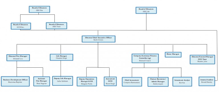 Our Team & Organisational Chart - Hand-in-hand Guyana